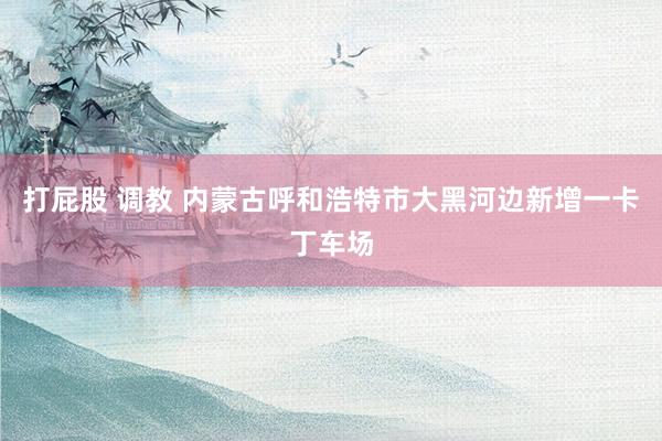 打屁股 调教 内蒙古呼和浩特市大黑河边新增一卡丁车场