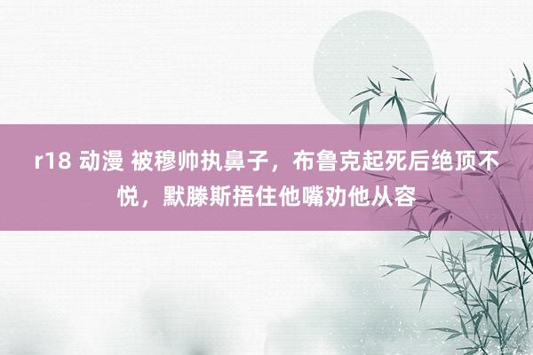 r18 动漫 被穆帅执鼻子，布鲁克起死后绝顶不悦，默滕斯捂住他嘴劝他从容